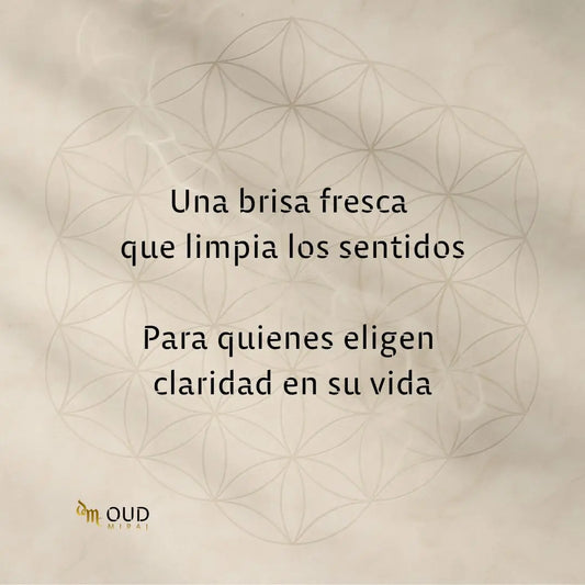 AFNAN 9AM DIVE - EDP