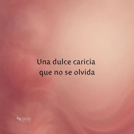 AFNAN MODEST DEUX - EDP