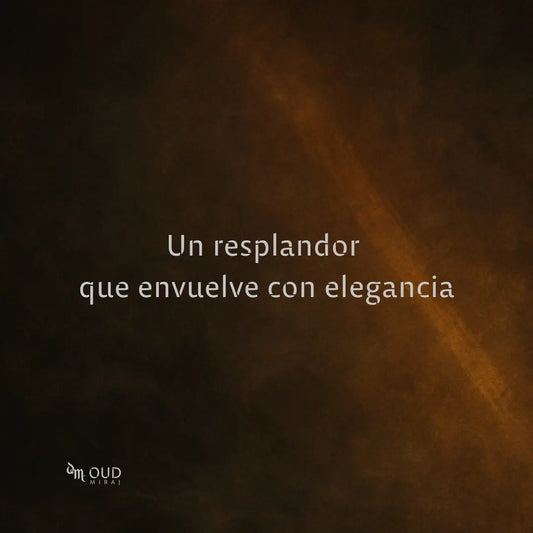 AFNAN ORNAMENT POUR HOMME - EDP