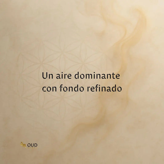 AFNAN SUPREMACY COLLECTOR´S EDITION - EDP