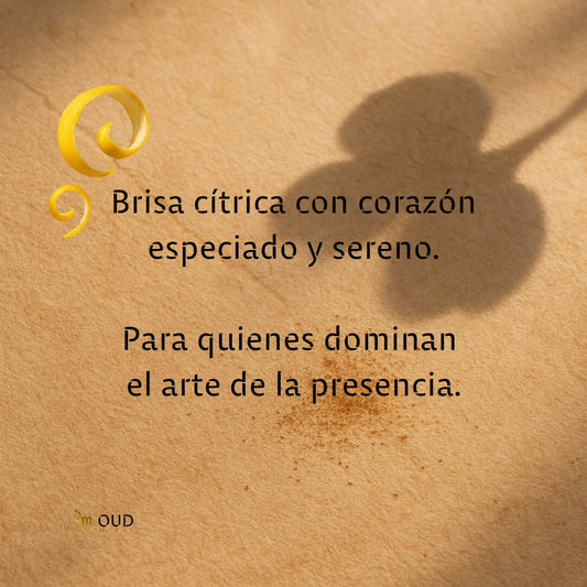 ARMAF CABALLO POUR HOMME - EDP