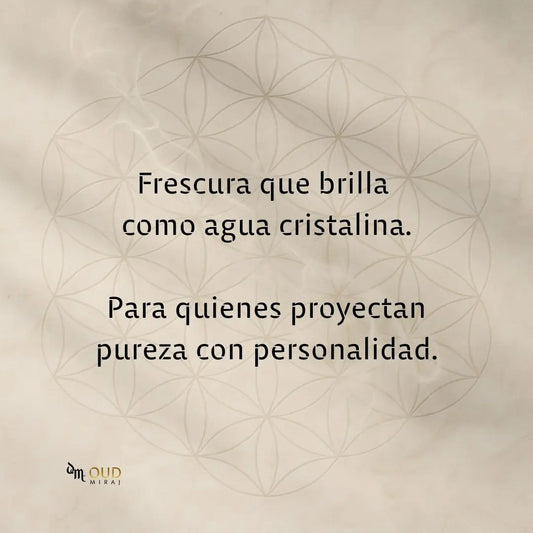 ARMAF CLUB DE NUIT SILLAGE - EDP