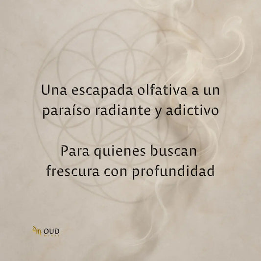 BHARARA ENCHANTED - EDP