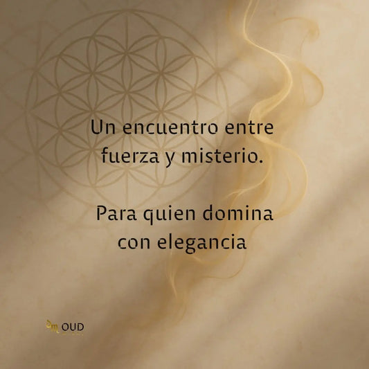 BHARARA ENIGMA - EDP