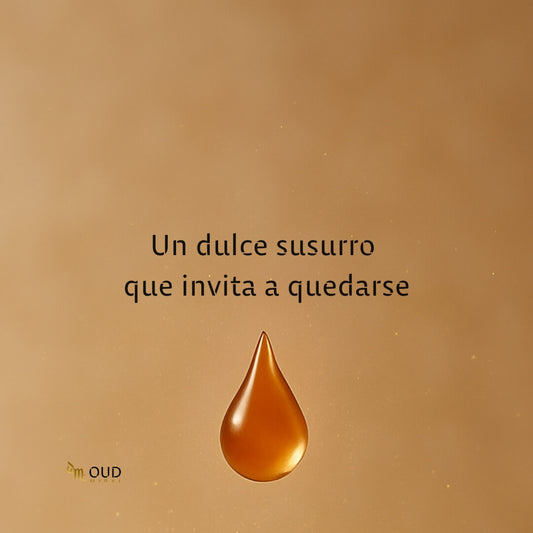 ZIMAYA TIRAMISU CARAMEL - EDP