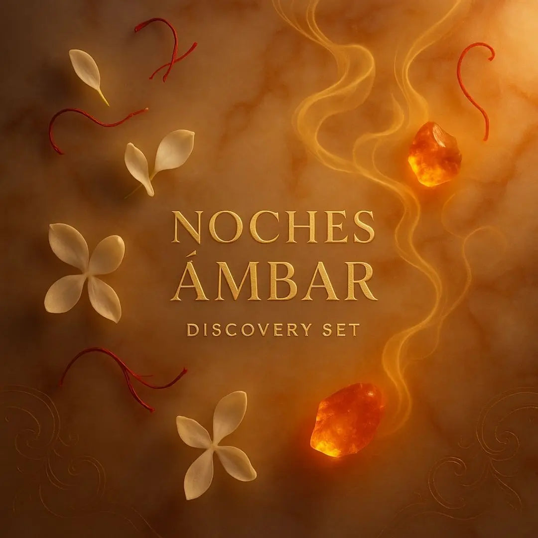 NOCHES ÁMBAR - DISCOVERY SET