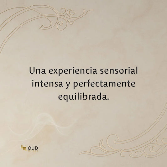 LATTAFA AMEER AL OUDH INTENSE OUD - EDP