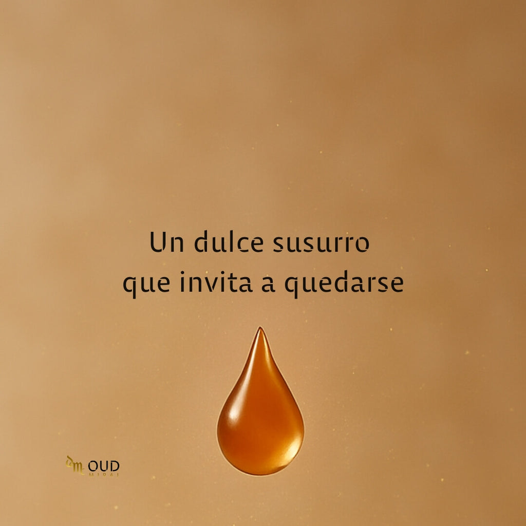 ZIMAYA TIRAMISU CARAMEL - EDP